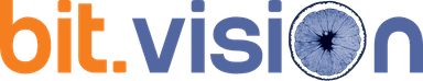 bit.vision